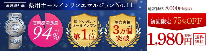 ��p�I�[���C�������G�}���W����No.11���T�C�g